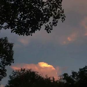 舅舅人体艺术高清我
